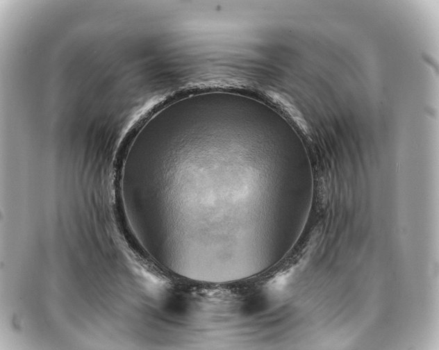 X0000094420395200711081141
