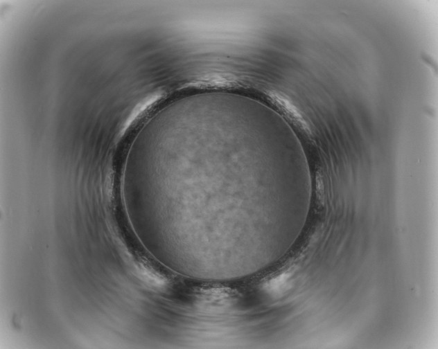 X0000094420396200711081141
