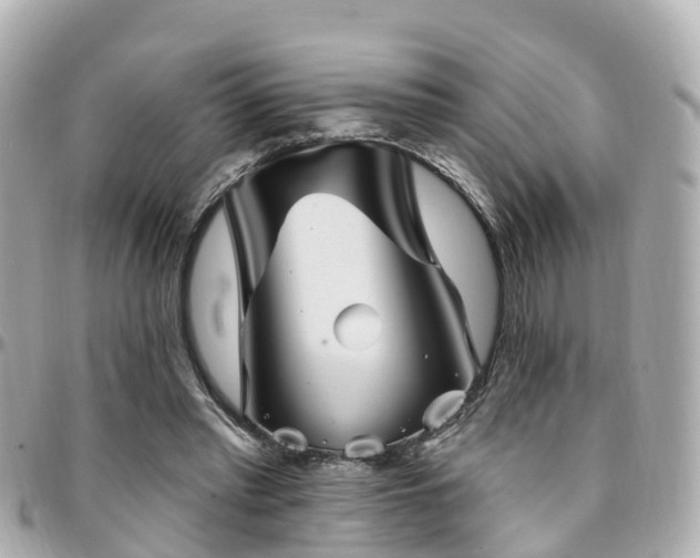X0000094420397200711081141