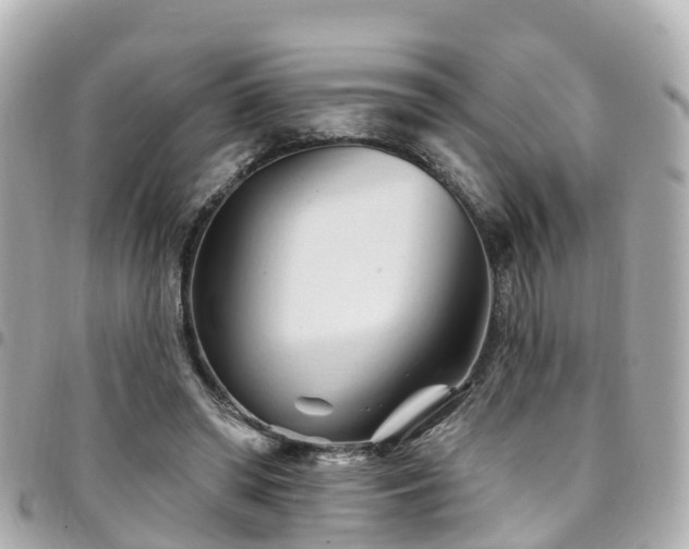 X0000094420398200711081141