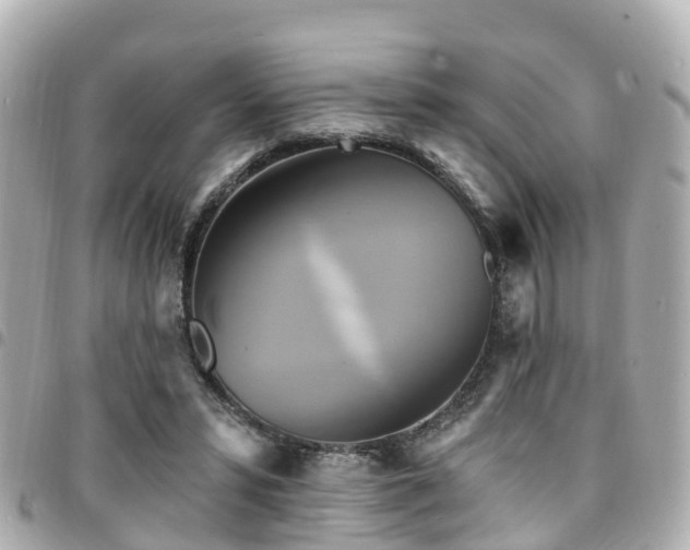 X0000094420399200711081141