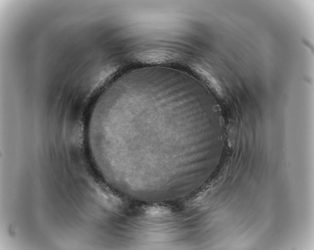X0000094420400200711081141