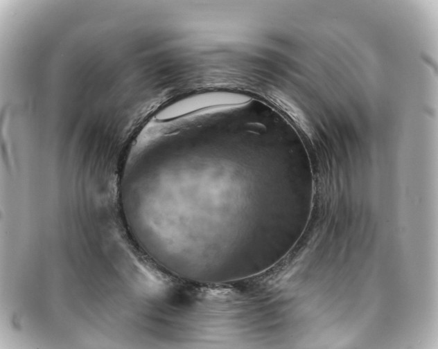 X0000094420401200711081141