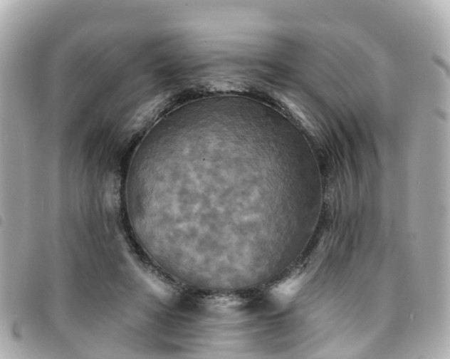 X0000094420402200711081141
