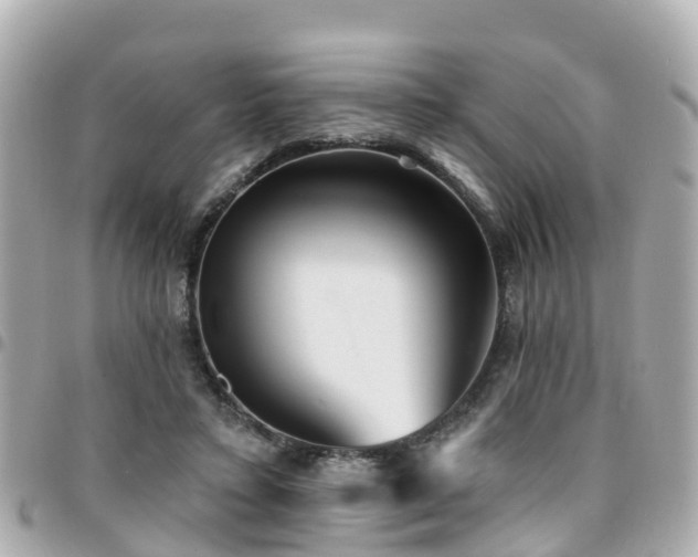 X0000094420403200711081141