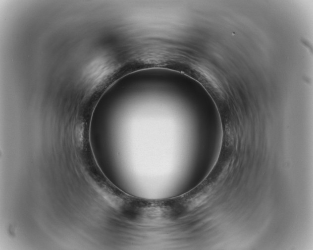 X0000094420404200711081141