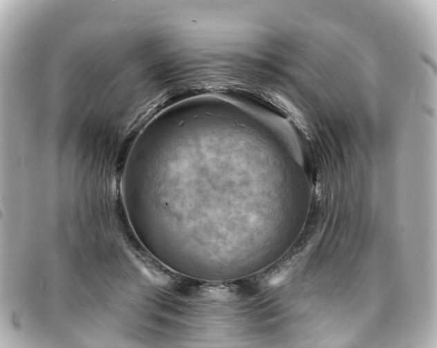 X0000094420405200711081141