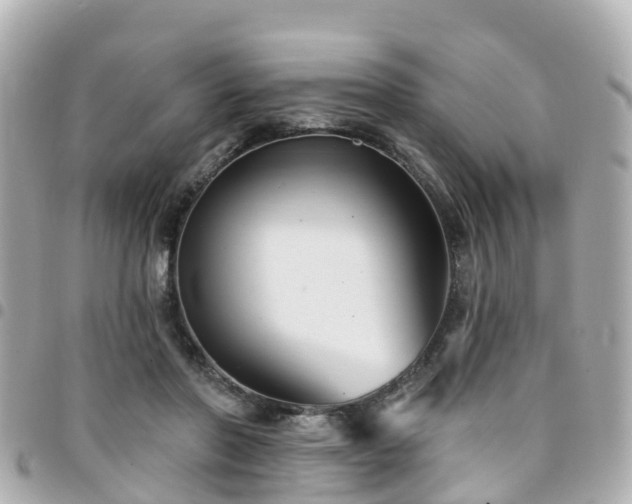 X0000094420406200711081141