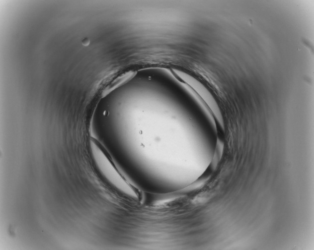 X0000094420407200711081141