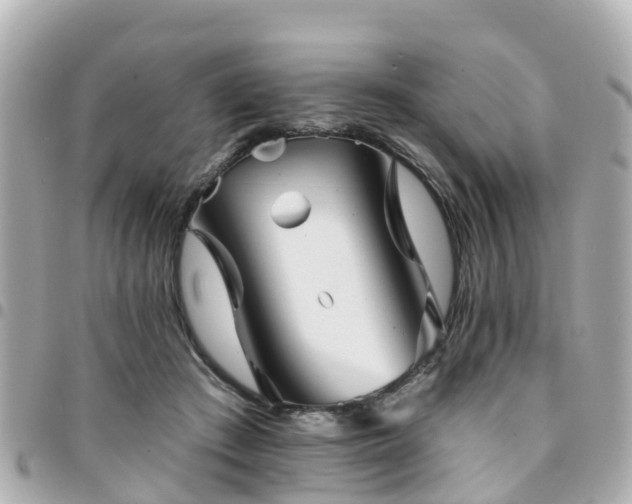 X0000094420409200711081141