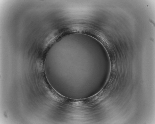 X0000094420411200711081141