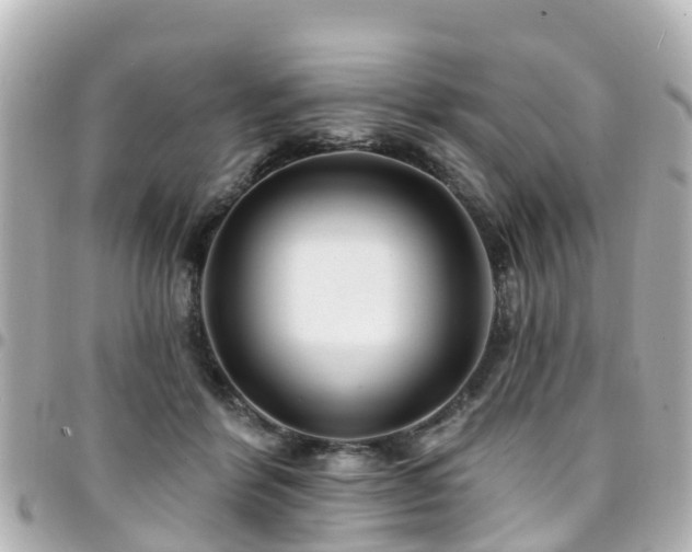X0000094420412200711081141