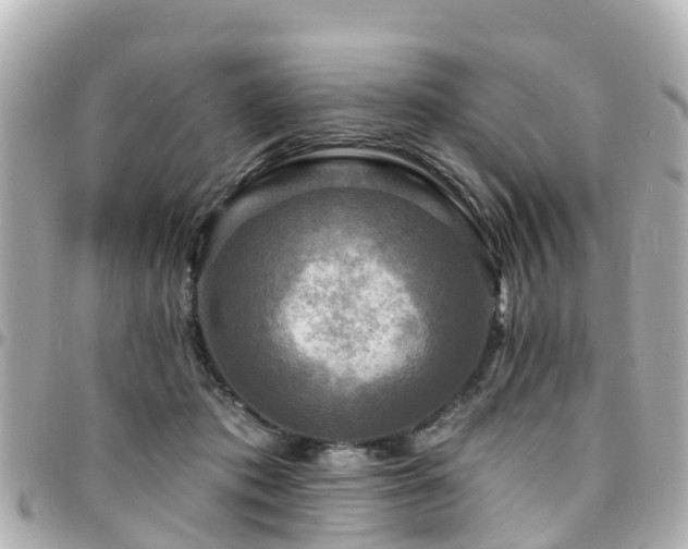 X0000094420413200711081141