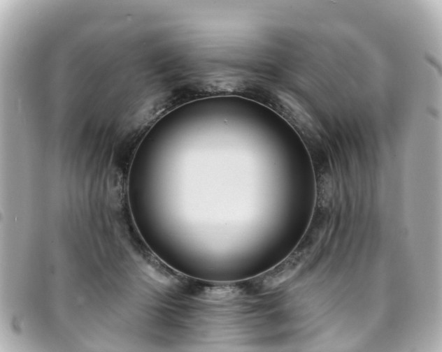 X0000094420414200711081141