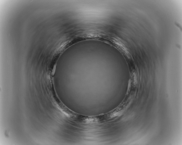 X0000094420415200711081141