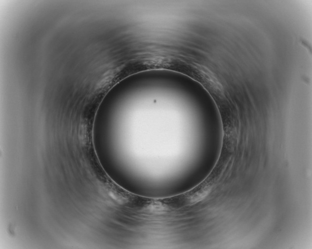 X0000094420416200711081141