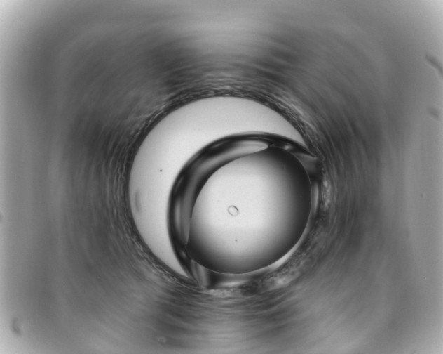 X0000094420417200711081141