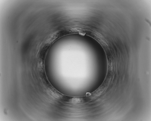 X0000094420418200711081140