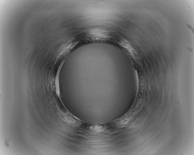 X0000094420419200711081140