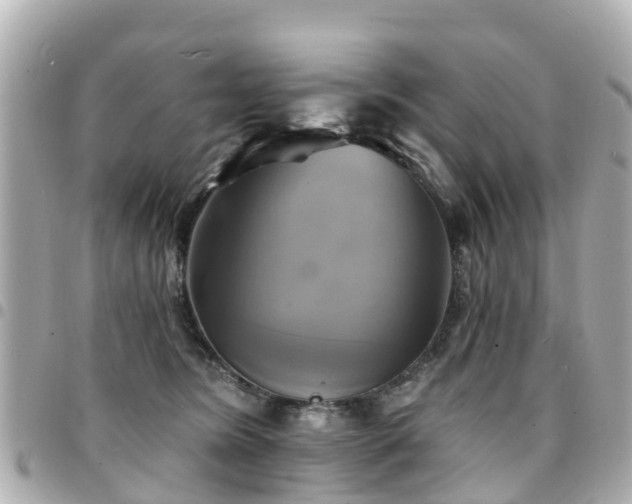 X0000094420420200711081140