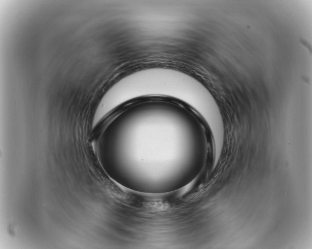 X0000094420421200711081140