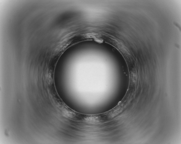 X0000094420422200711081140