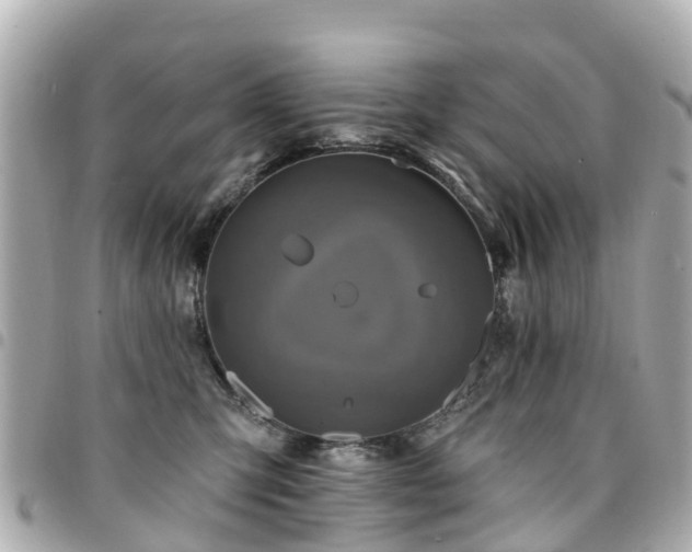 X0000094420423200711081140