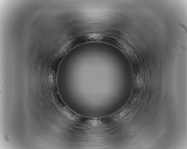 X0000094420424200711081140