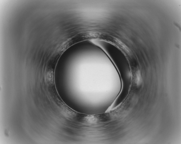 X0000094420425200711081140