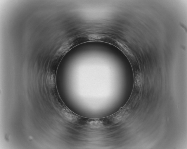X0000094420426200711081140