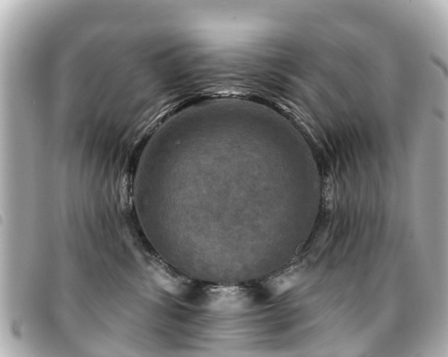 X0000094420428200711081140