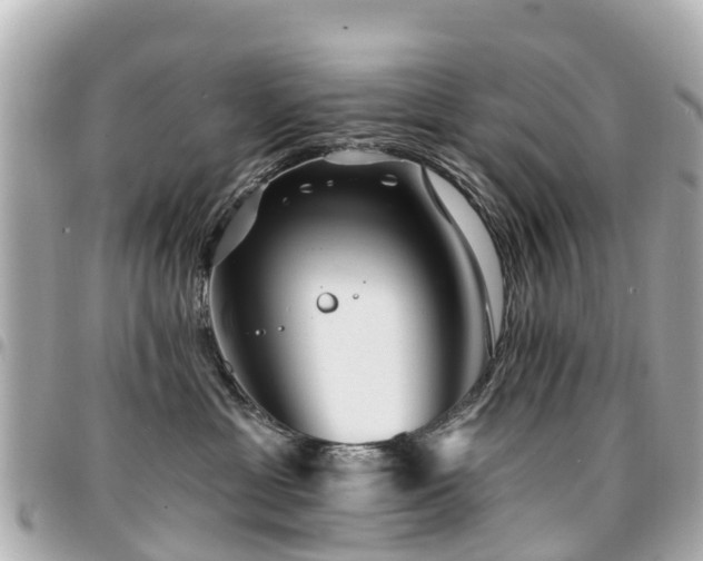 X0000094420429200711081140
