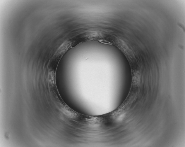 X0000094420430200711081140
