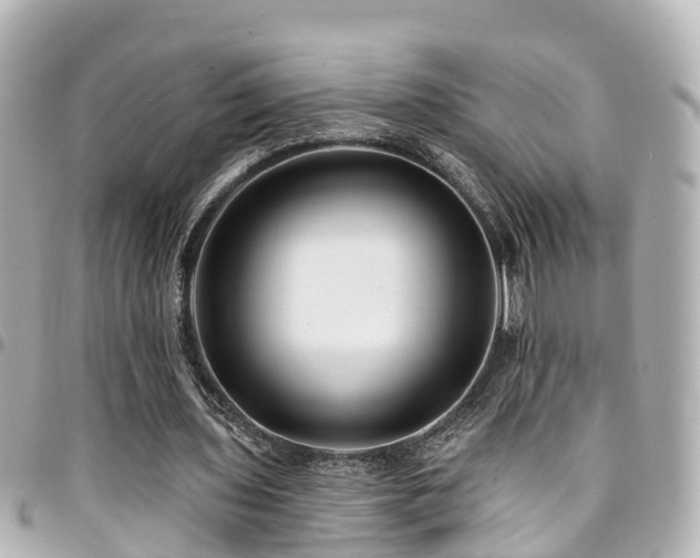 X0000094420435200711081140