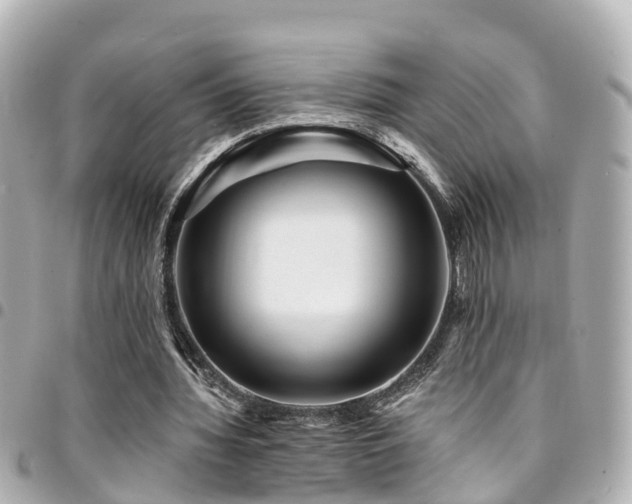 X0000094420436200711081140