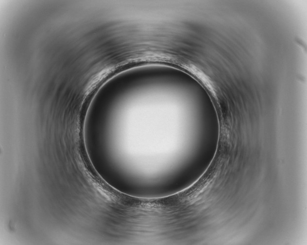 X0000094420437200711081140