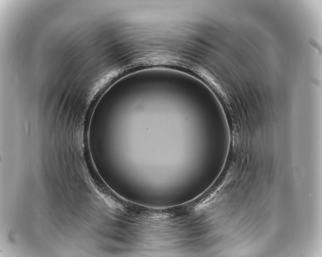X0000094420438200711081140
