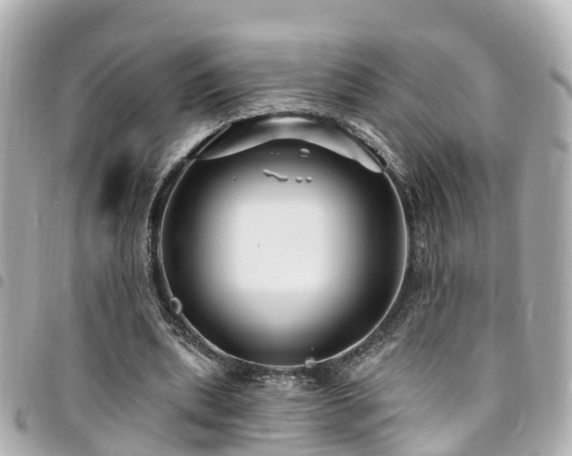 X0000094420439200711081140