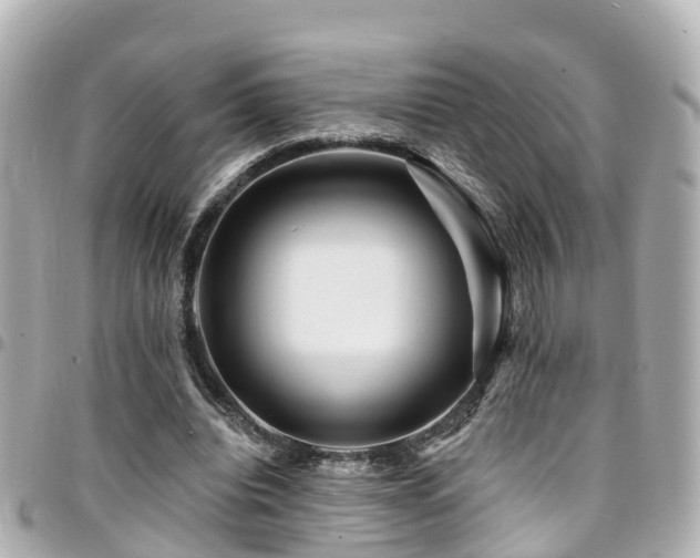 X0000094420440200711081140