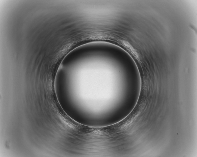 X0000094420441200711081140