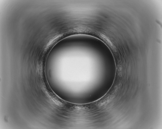 X0000094420442200711081140