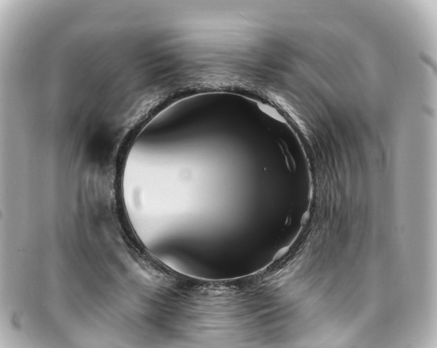 X0000094420443200711081140