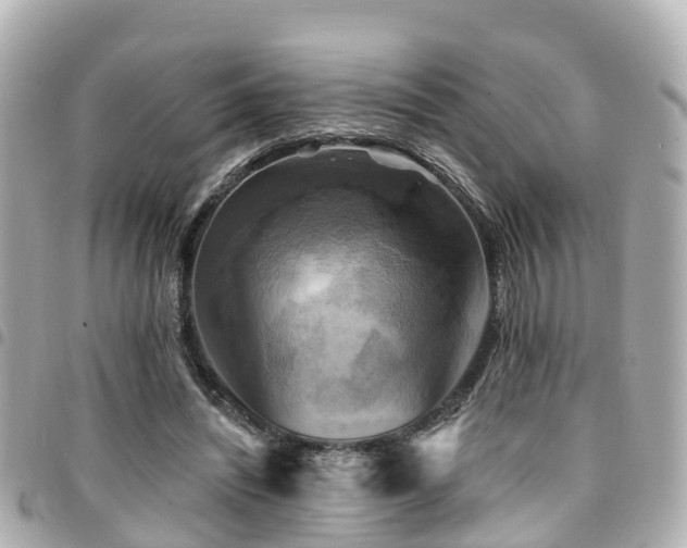 X0000094420444200711081140