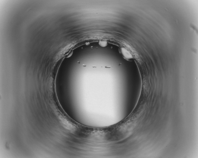 X0000094420445200711081140