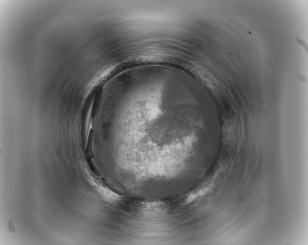 X0000094420446200711081140