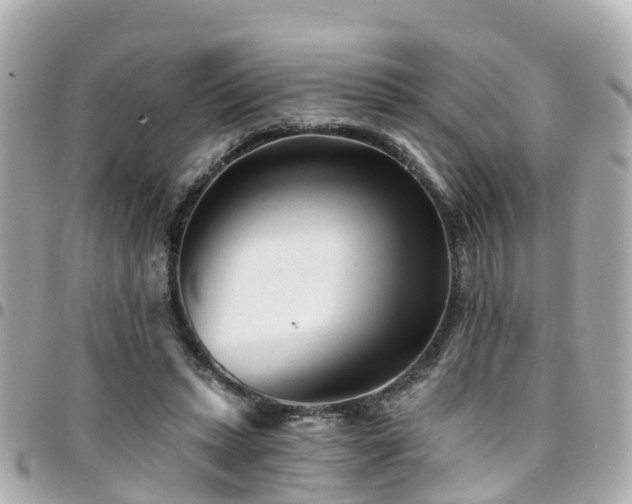 X0000094420447200711081140