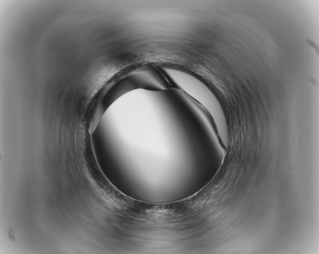 X0000094420448200711081140