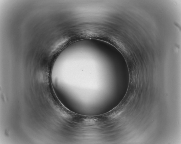 X0000094420450200711081140