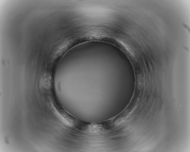 X0000094420451200711081140