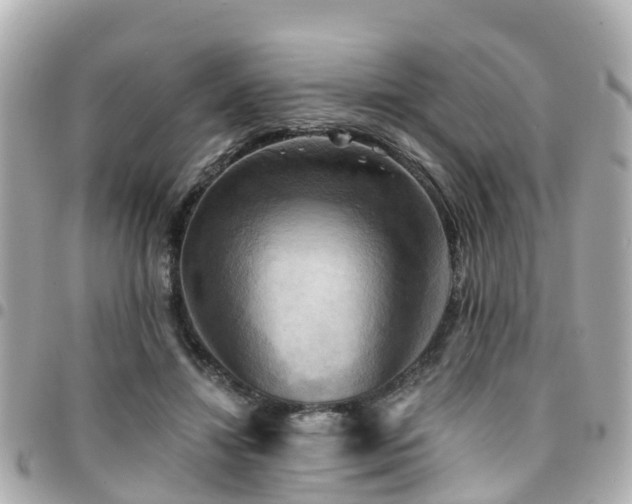 X0000094420452200711081140